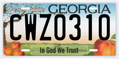 GA license plate CWZ0310