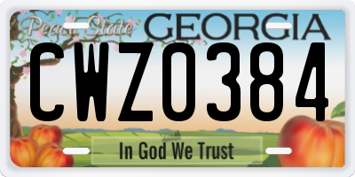 GA license plate CWZ0384