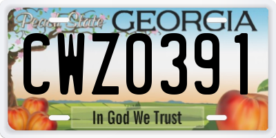 GA license plate CWZ0391