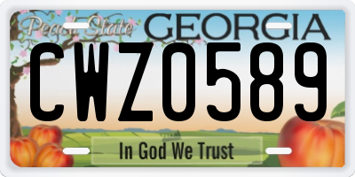 GA license plate CWZ0589