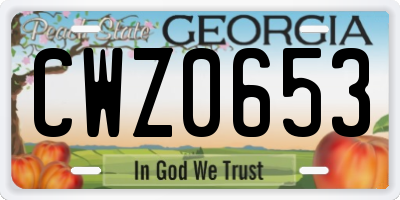 GA license plate CWZ0653