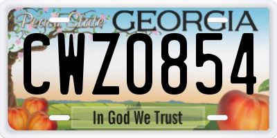 GA license plate CWZ0854