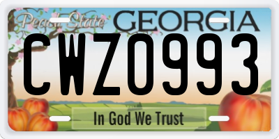 GA license plate CWZ0993