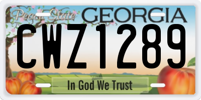 GA license plate CWZ1289