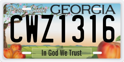GA license plate CWZ1316