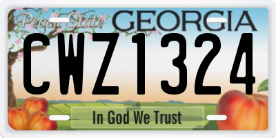 GA license plate CWZ1324