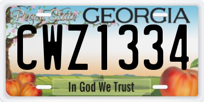 GA license plate CWZ1334