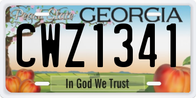GA license plate CWZ1341