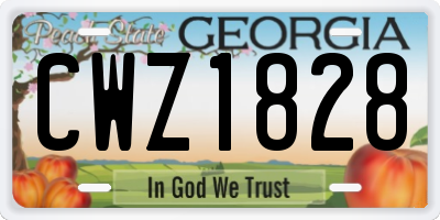 GA license plate CWZ1828