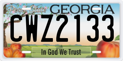 GA license plate CWZ2133