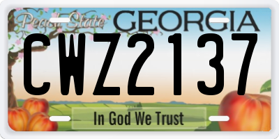 GA license plate CWZ2137