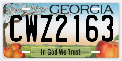 GA license plate CWZ2163