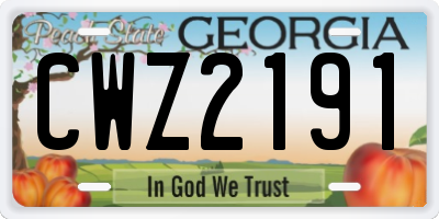 GA license plate CWZ2191