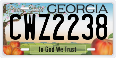 GA license plate CWZ2238