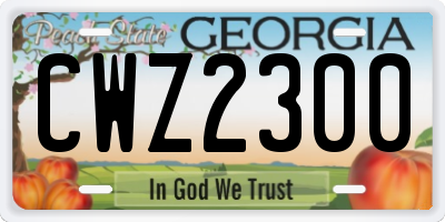 GA license plate CWZ2300