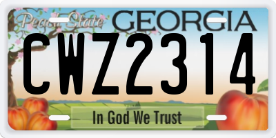 GA license plate CWZ2314