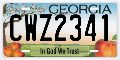 GA license plate CWZ2341
