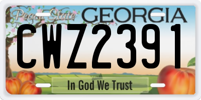 GA license plate CWZ2391