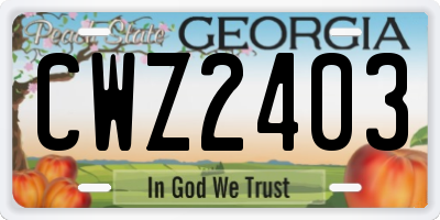 GA license plate CWZ2403