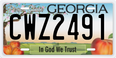 GA license plate CWZ2491