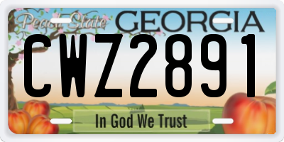 GA license plate CWZ2891