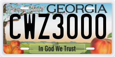 GA license plate CWZ3000
