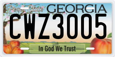 GA license plate CWZ3005