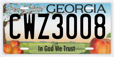 GA license plate CWZ3008