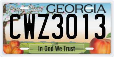 GA license plate CWZ3013