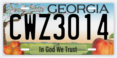 GA license plate CWZ3014