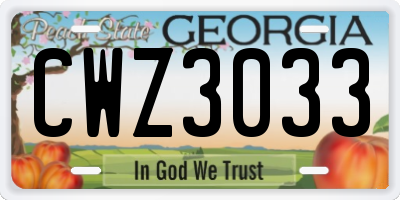 GA license plate CWZ3033