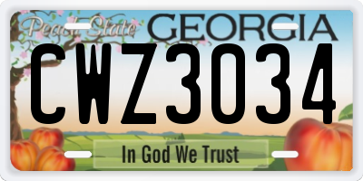 GA license plate CWZ3034