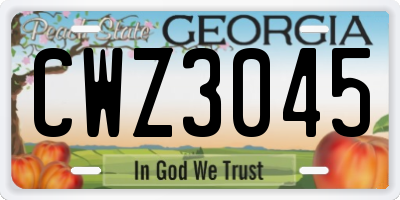 GA license plate CWZ3045