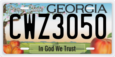 GA license plate CWZ3050