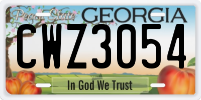 GA license plate CWZ3054