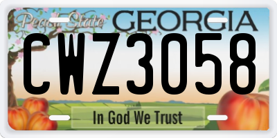 GA license plate CWZ3058