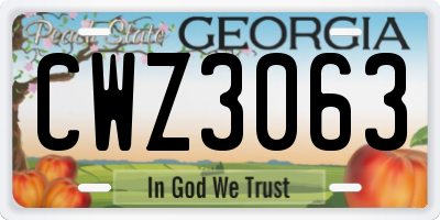 GA license plate CWZ3063