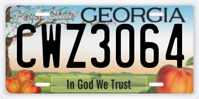 GA license plate CWZ3064