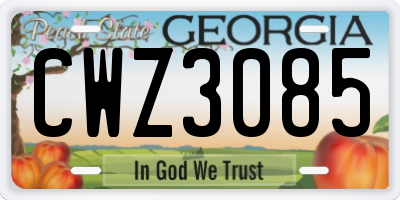 GA license plate CWZ3085