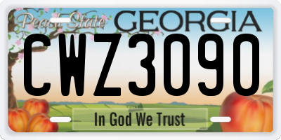 GA license plate CWZ3090