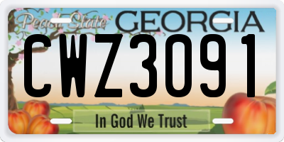 GA license plate CWZ3091