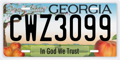 GA license plate CWZ3099