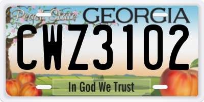 GA license plate CWZ3102
