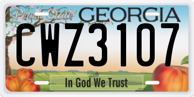 GA license plate CWZ3107