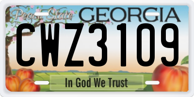 GA license plate CWZ3109