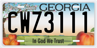 GA license plate CWZ3111