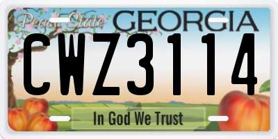 GA license plate CWZ3114