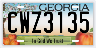 GA license plate CWZ3135