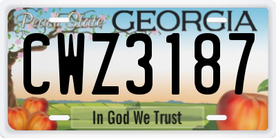 GA license plate CWZ3187