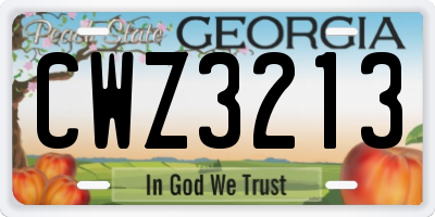GA license plate CWZ3213